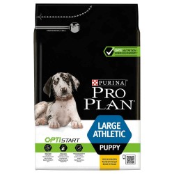 Proplan puppy large...
